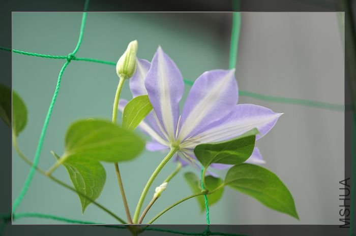 090425����Ӱ��С�� (1).JPG