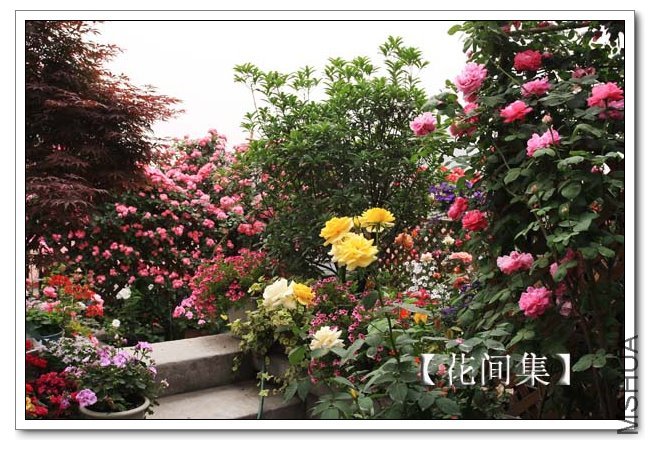 IMG_9383 ����.jpg