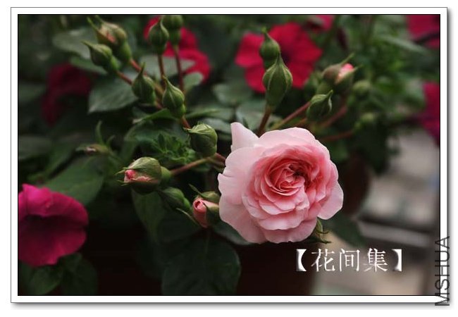 IMG_9401 ����.jpg