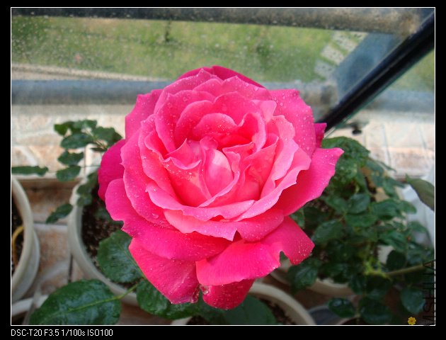 nEO_IMG_DSC02205.jpg
