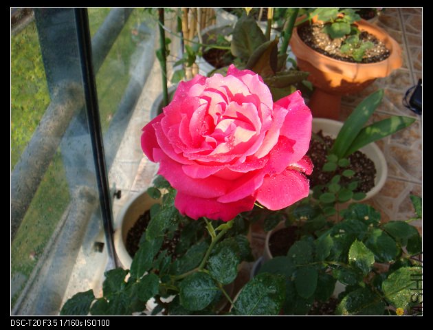 nEO_IMG_DSC02216.jpg