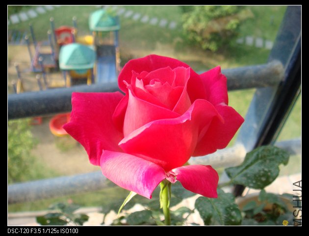 nEO_IMG_DSC02176.jpg