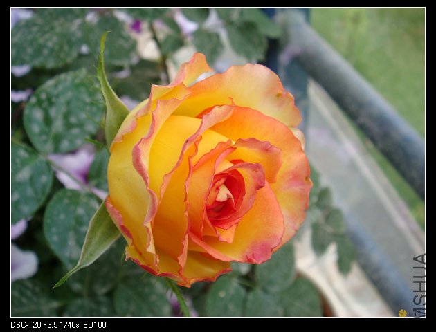 nEO_IMG_DSC02200.jpg