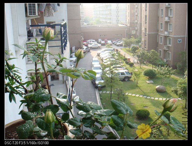 DSC02210.JPG