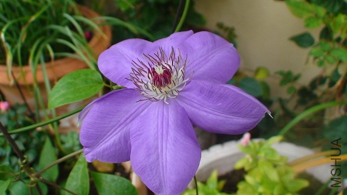 ��һ����д��