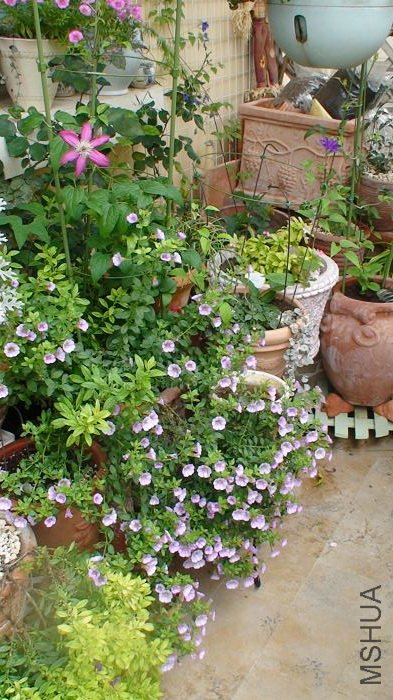 4-23�տ��������Ǹտ�ʱ������, û����д, ���ڽǶ����档�տ�ʱ������ͳ����һ��һ���컨��ûȫ�򿪡�