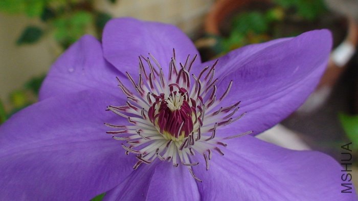 �������������д���⻨������������