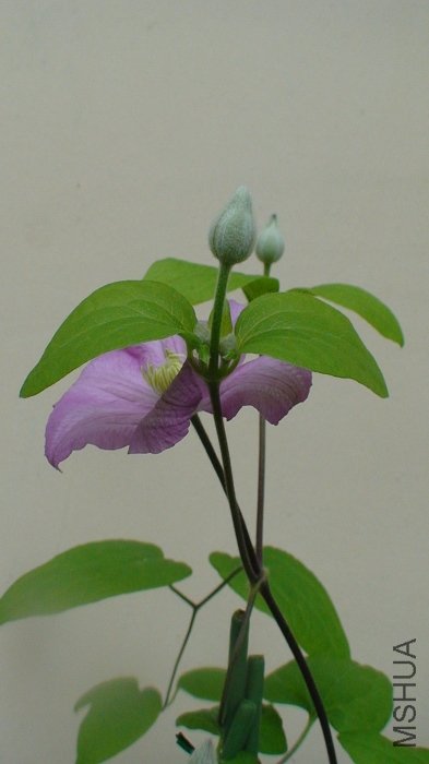 ����������������д��