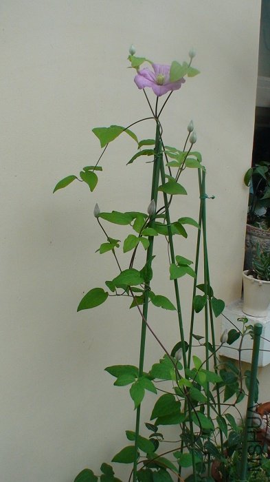 ���ǲ������˵Ļ���ȫ���գ����ĶԻ���+����һ�������������������������ι���13��������