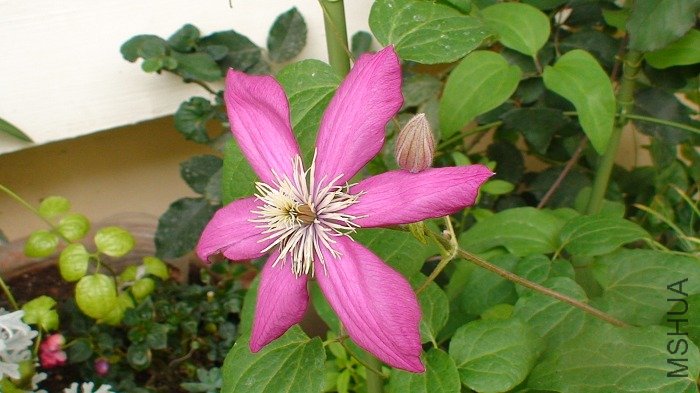 ����4-23�տ��������ģ�ȥ��5��Ǥ��ģ�������Ѿ�����һ�䣬�����ֿ���, �Ѿ����˼�����.