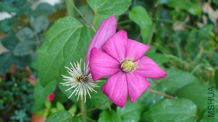 ���һ��Ļ���Ա�һ�¾�֪���ж�С����