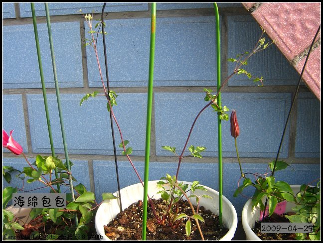 ����16��