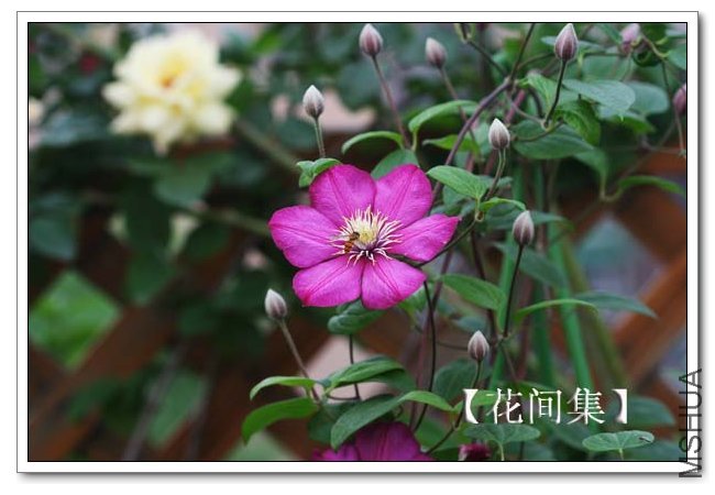 IMG_4389 ����.jpg