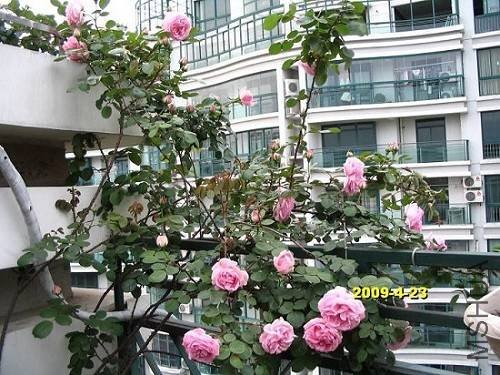 nEO_IMG_��Ƭ 30158.jpg