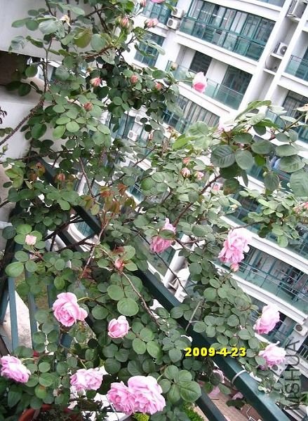 nEO_IMG_��Ƭ 30159.jpg