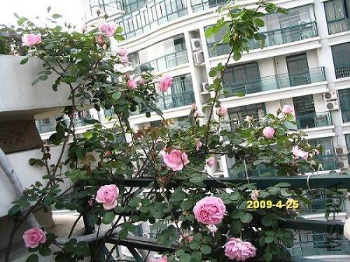 nEO_IMG_��Ƭ 30165.jpg