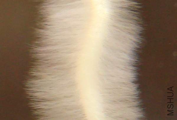 c1.JPG