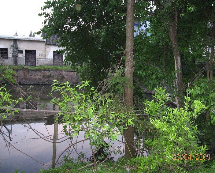 ���Ͻ���������Ҷ��������������