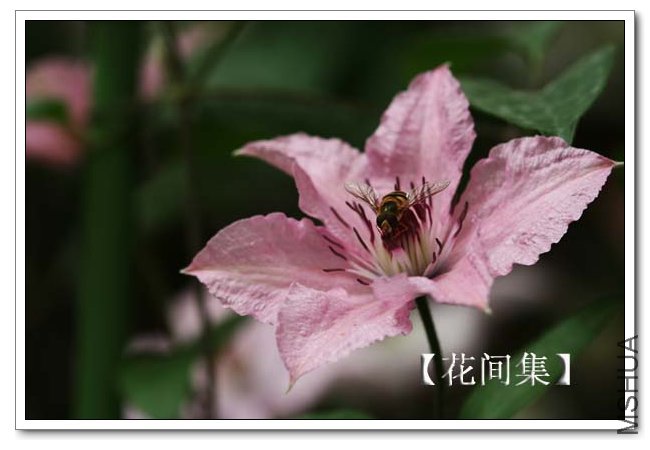 IMG_4577 ����.jpg