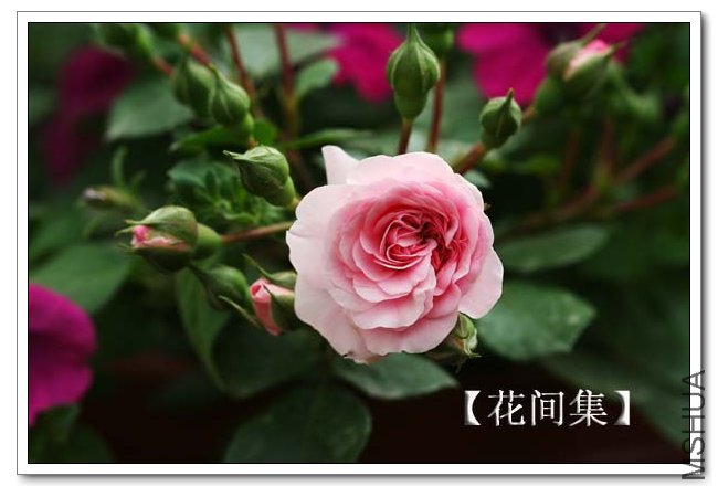 IMG_4579 ����.jpg