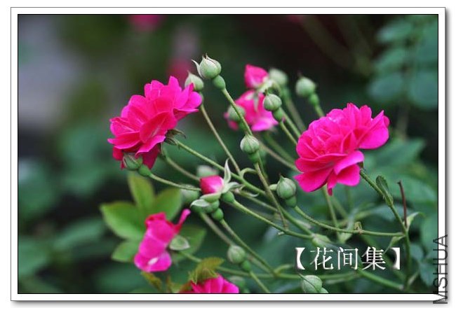 IMG_4630 ����.jpg