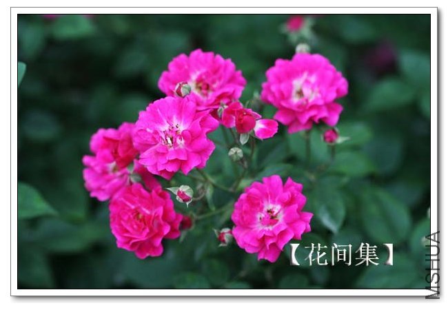 IMG_4635 ����.jpg