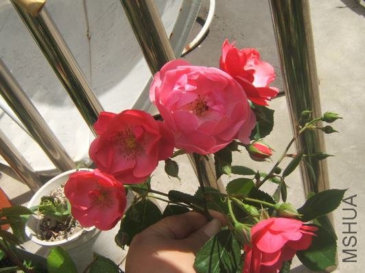 DSCF5373.JPG