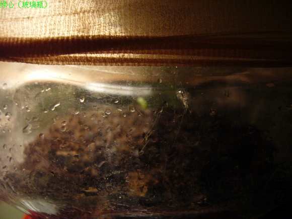 P1010251.JPG