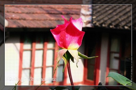 DSCN5848.JPG