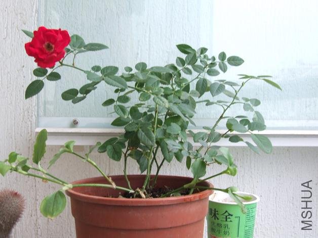 ȥ�궬����¼�