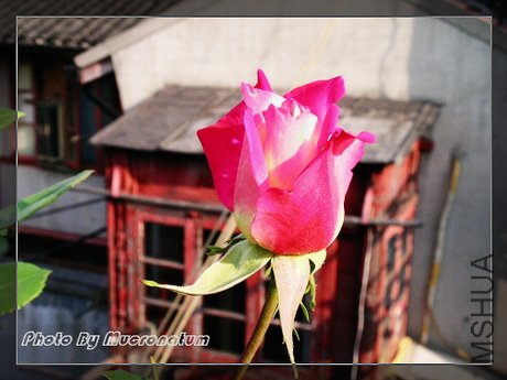 DSCN5849.JPG