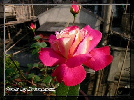 DSCN5851.JPG