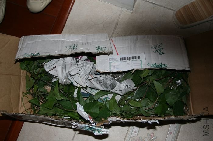 nEO_IMG_��Ƭ 002.jpg