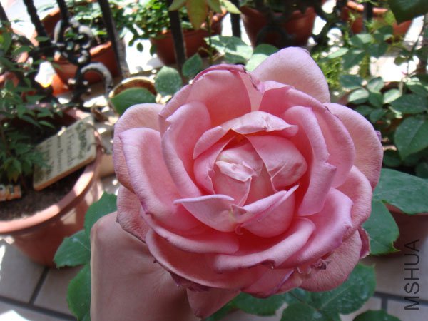 DSC02615.JPG
