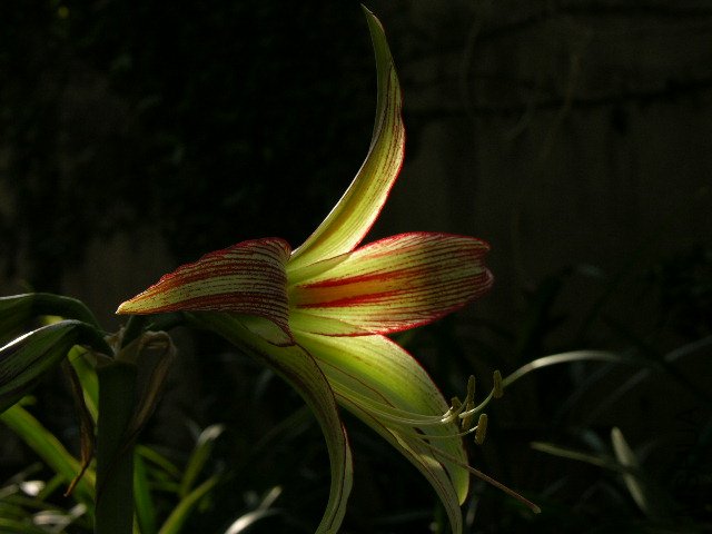 DSCN4069.JPG
