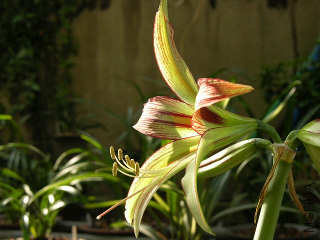 DSCN4095.JPG