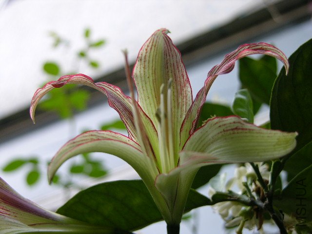 DSCN4191.JPG