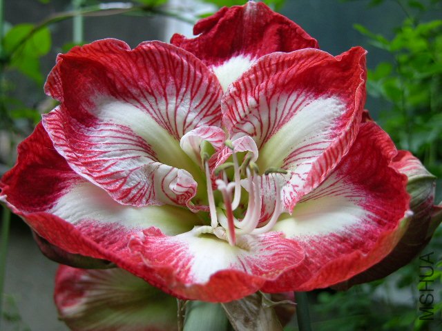 DSCN4183.JPG
