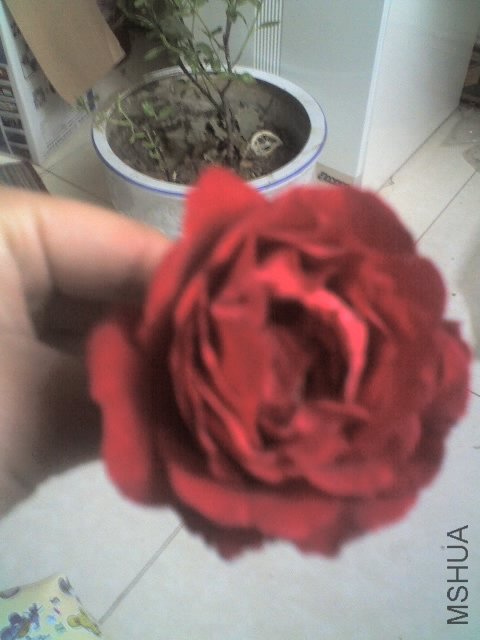 30-04-09_1851.jpg