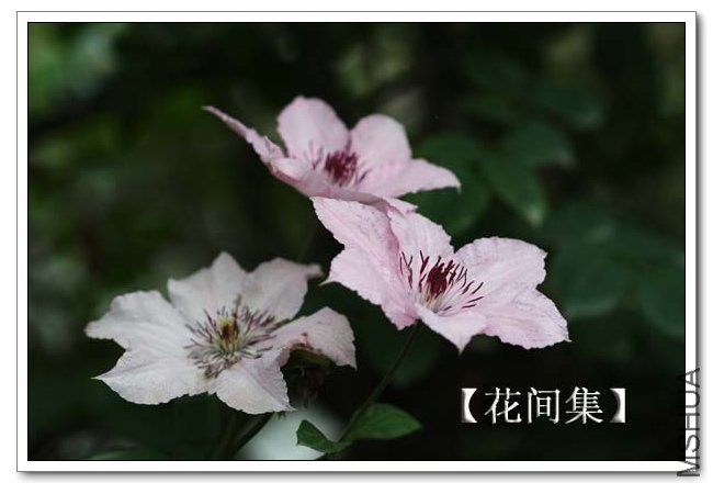 IMG_4640 ����.jpg