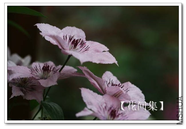 IMG_4643 ����.jpg