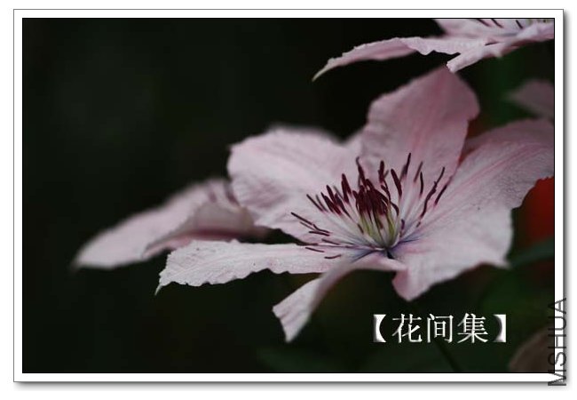 IMG_4676 ����.jpg