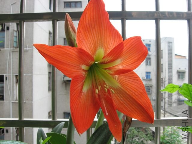 IMG_1672.JPG