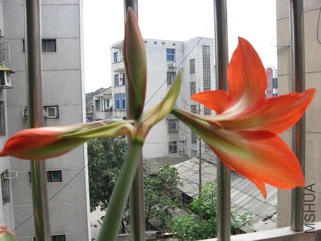 IMG_1670.JPG
