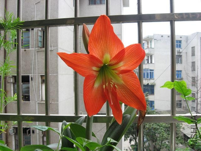 IMG_1671.JPG