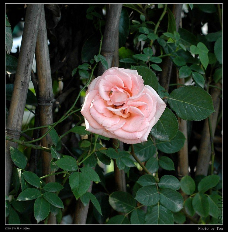 DSC_9983.jpg