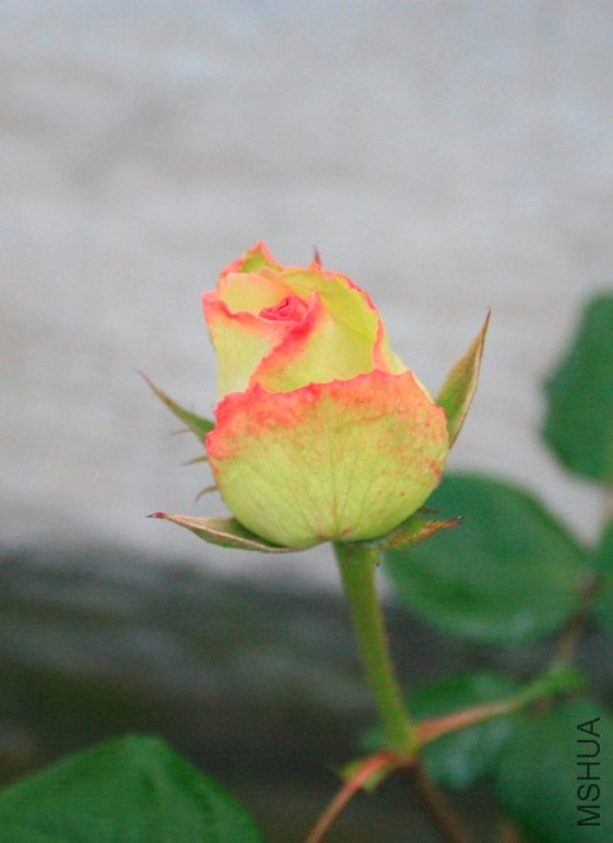 09.jpg