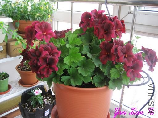 ��ʹ֮������ 038.jpg