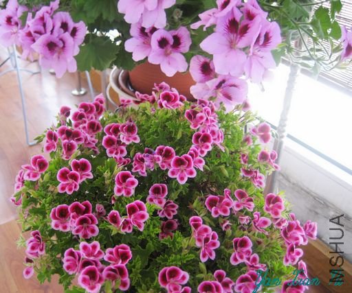 ��ʹ֮������ 005.jpg