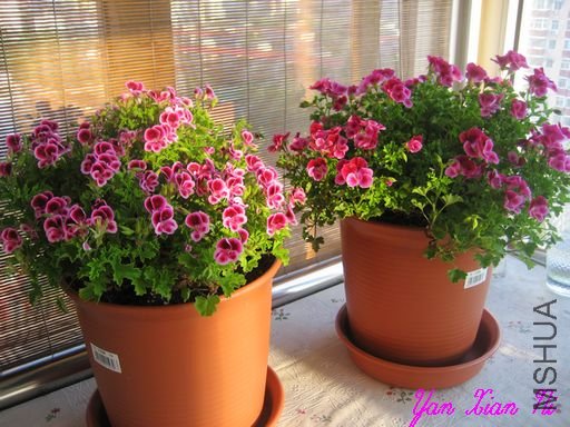 ��ʹ֮������ 024.jpg